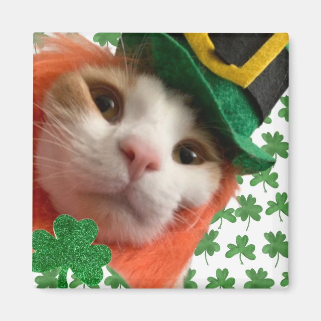 Feline Lucky? Magnet (Front)