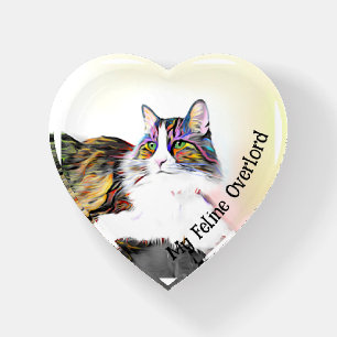 Feline Overlord pet portrait Paperweight