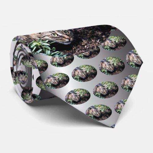 Feline Pet Cat on the Prowl Neck Tie