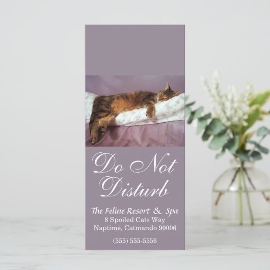 Feline Resort Do Not Disturb (Standing Front)