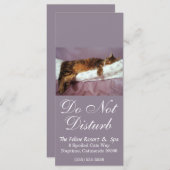 Feline Resort Do Not Disturb (Front/Back)