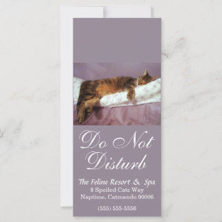 Feline Resort Do Not Disturb