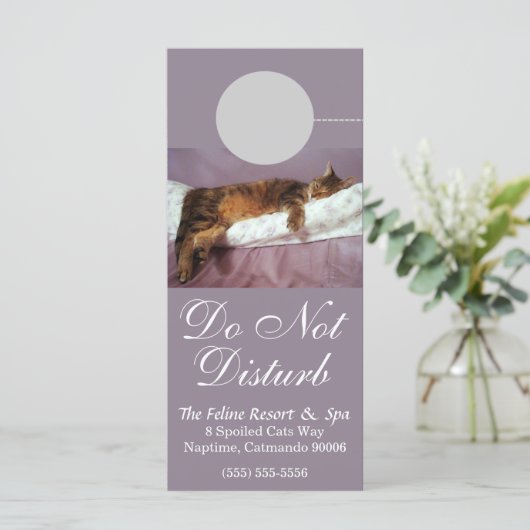 Feline Resort Do Not Disturb Custom Rack Card (Standing Front)