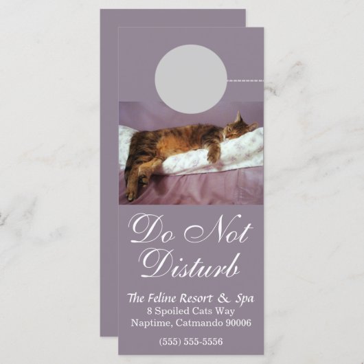 Feline Resort Do Not Disturb Custom Rack Card (Front/Back)