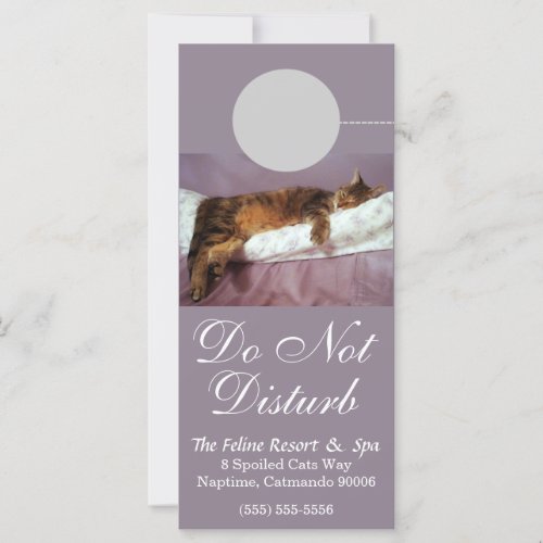 Feline Resort Do Not Disturb Custom Rack Card