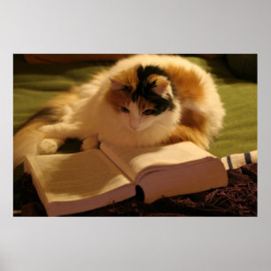 Feline Scholar Poster