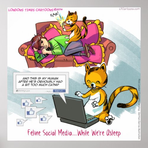 Feline Social Media Funny Poster