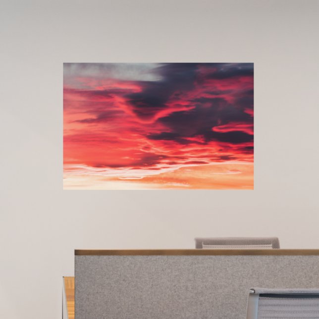 feline wave wall decal  (Office)