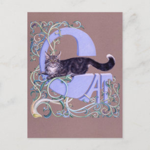 Felis Illumines Postcard