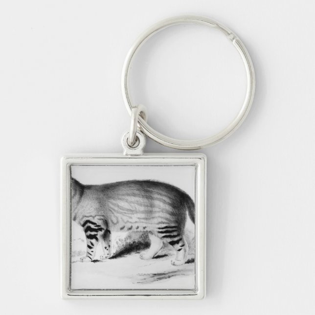 Felis Pajeros, plate 9 Keychain (Front)