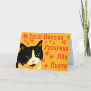 Felix Navidad Holiday Card