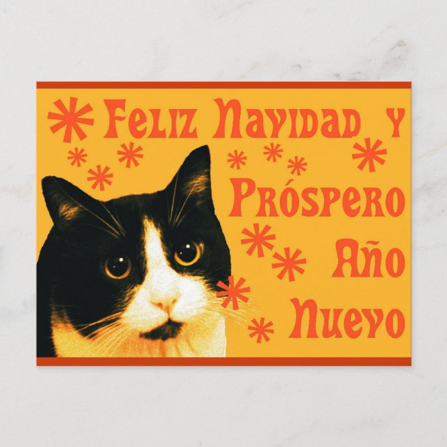 Felix Navidad Postcard (Front)