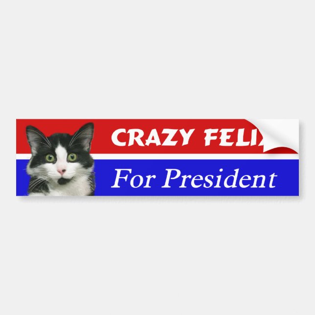 Felix the Cat for President Bumper Sticker (Front)