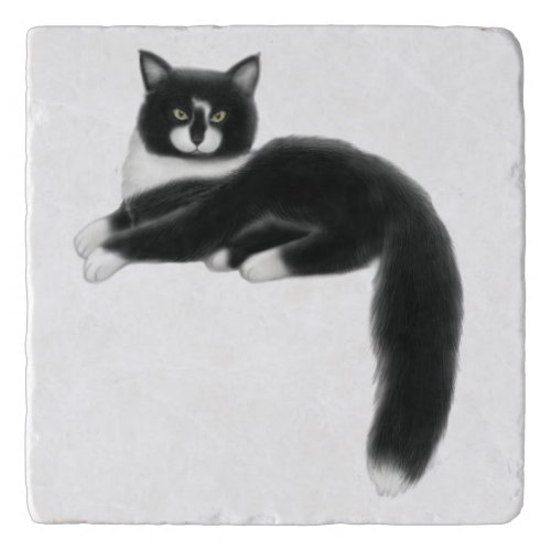 Felix the Tuxedo Cat Stone Trivet