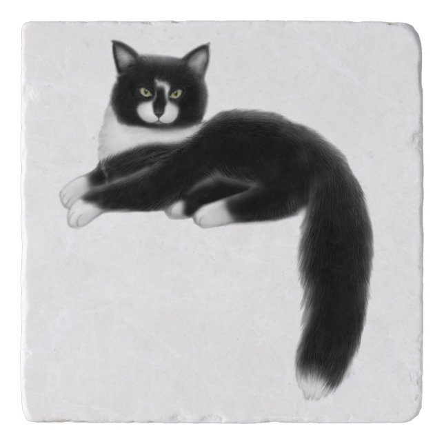 Felix the Tuxedo Cat Stone Trivet (Front)