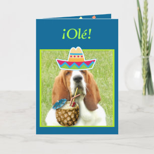 "¡Feliz Cinco de Mayo!" Card w/Basset & Drinks