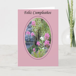 Feliz Cumpleaños Card