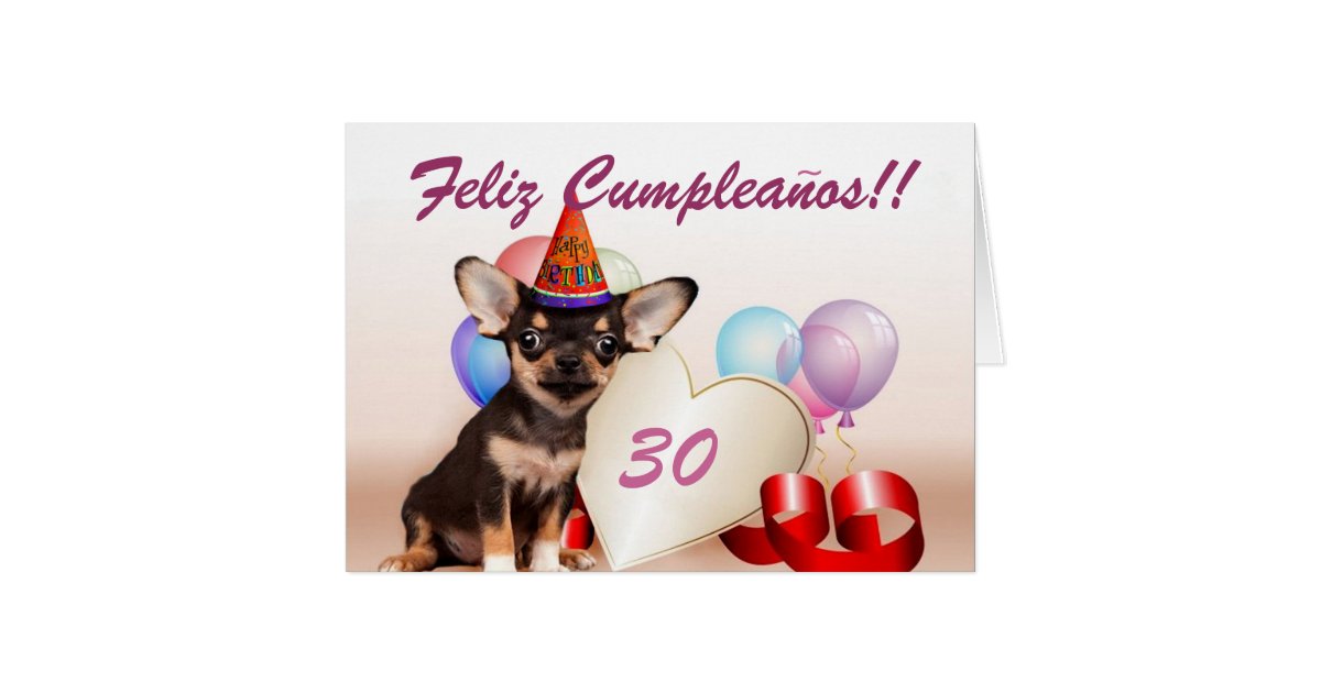 Feliz Cumpleaños chihuahua dog greeting card | Zazzle