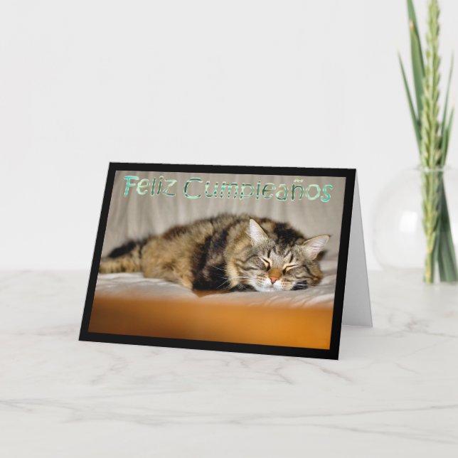 Feliz Cumpleaños Spanish Birthday with kitty cat Card (Front)