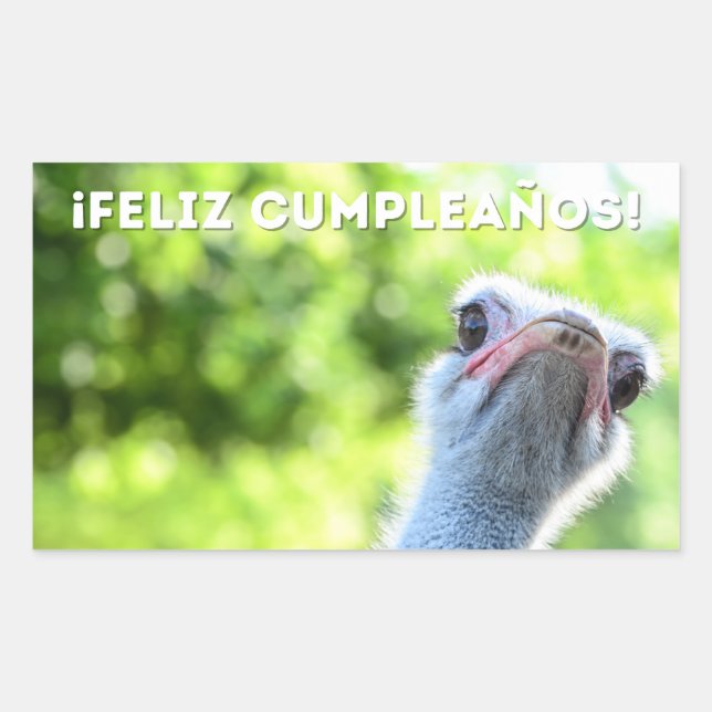 Feliz cumpleaños, Spanish happy birthday  Rectangular Sticker (Front)