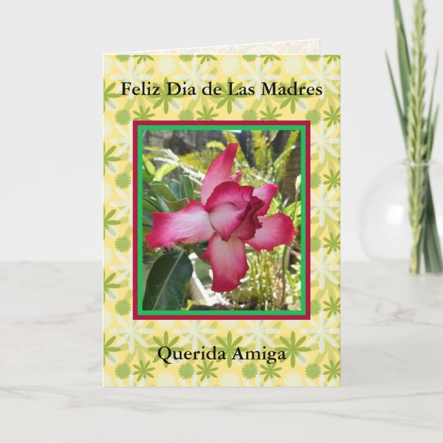 Feliz Dia de las Madres querida amiga 721 Card (Front)