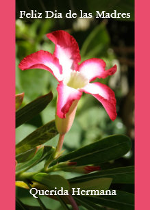 Las Hermanas Cards Zazzle