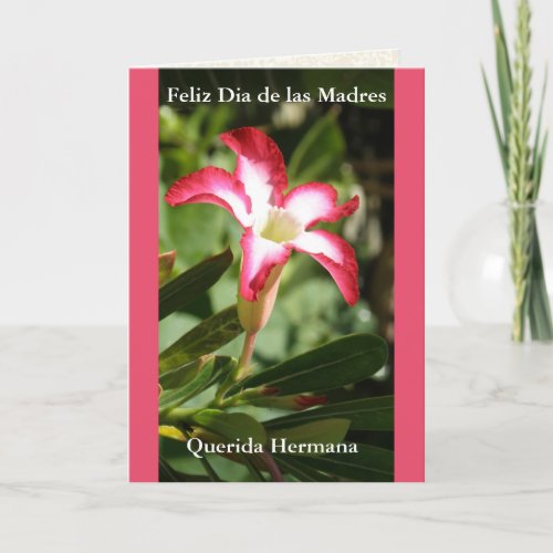 Feliz Dia de las Madres Querida Hermana Card