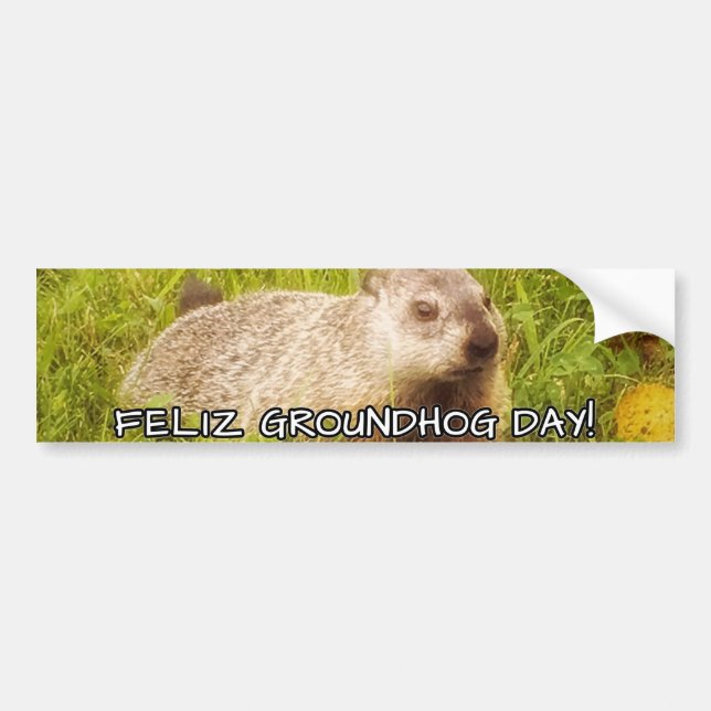 Feliz Groundhog Day! bumper sticker (Front)