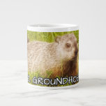 Feliz Groundhog Day! mug