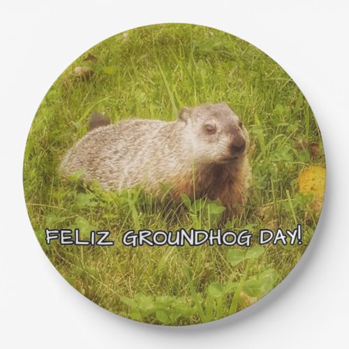 Feliz Groundhog Day paper plates