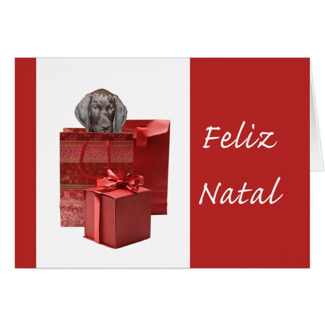 Feliz Natal german shorthaired pointer Chistmas Cards (Front Horizontal)