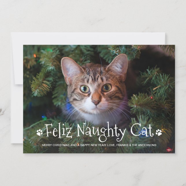 Feliz Naughty Cat Funny Personalized Pet Photo Holiday Card (Front)