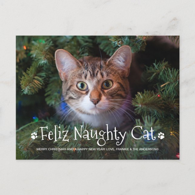 Feliz Naughty Cat Funny Personalized Pet Photo Holiday Postcard (Front)