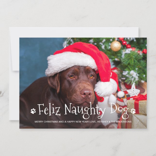 Feliz Naughty Dog Funny Personalized Pet Photo Holiday Card (Front)