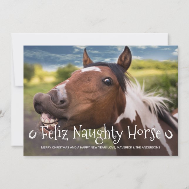 Feliz Naughty Horse Funny Personalized Pet Photo Holiday Card (Front)