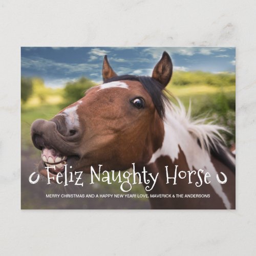 Feliz Naughty Horse Funny Personalized Pet Photo Holiday Postcard