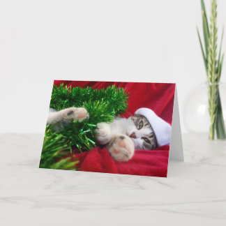 Feliz Navidad 3 Holiday Card