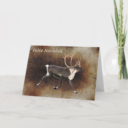 Feliz Navidad _ Bull Caribou Reindeer Holiday Card