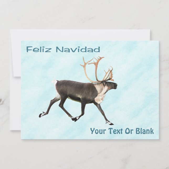 Feliz Navidad - Caribou (Reindeer) On Snow (Front)