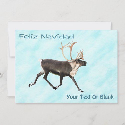 Feliz Navidad _ Caribou Reindeer On Snow