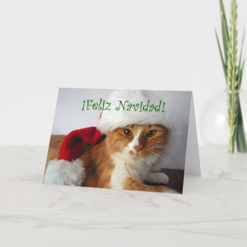 Feliz Navidad _ Cat Wearing Santa Hat Holiday Card