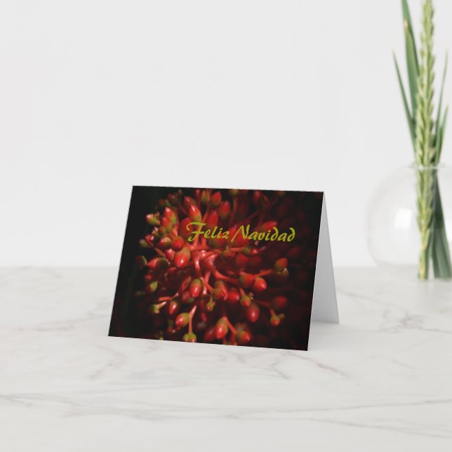 Feliz Navidad Holiday Card (Front)
