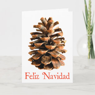 Feliz Navidad - Jerusalem Pine Cone Holiday Card