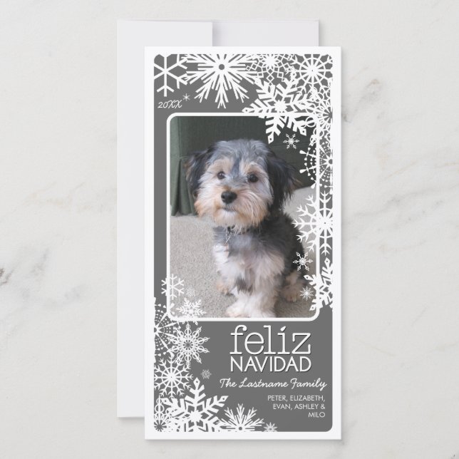 Feliz Navidad Photo Card: Let It Snow! Holiday Card (Front)