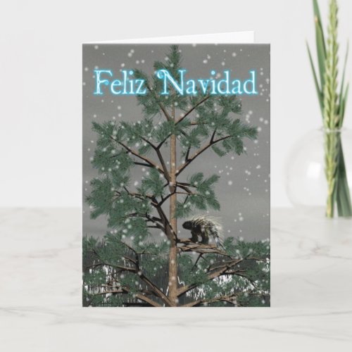 Feliz Navidad _ Porcupine In A Pine Tree Holiday Card