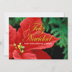 Feliz Navidad - Red Poinsettia and Fir Bow Holiday Card