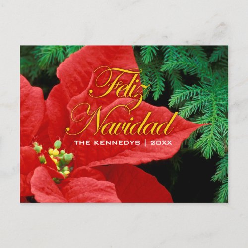 Feliz Navidad _ Red Poinsettia and Fir Bow Holiday Postcard