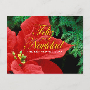 Feliz Navidad - Red Poinsettia and Fir Bow Holiday Postcard