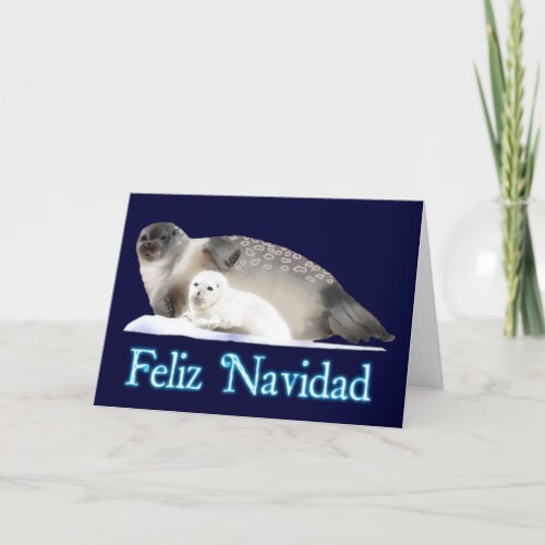 Feliz Navidad _ Ringed Seal Holiday Card