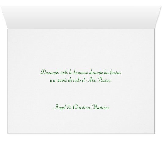 Feliz Navidad - Spanish tarjetas - Holiday Cards (Inside Horizontal (Bottom))